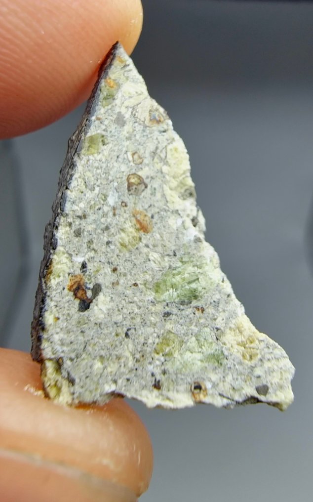 Dunite. Ain Ben Tili 004. Ungrouped Achondrite - 1.66 g - (1) #4.3