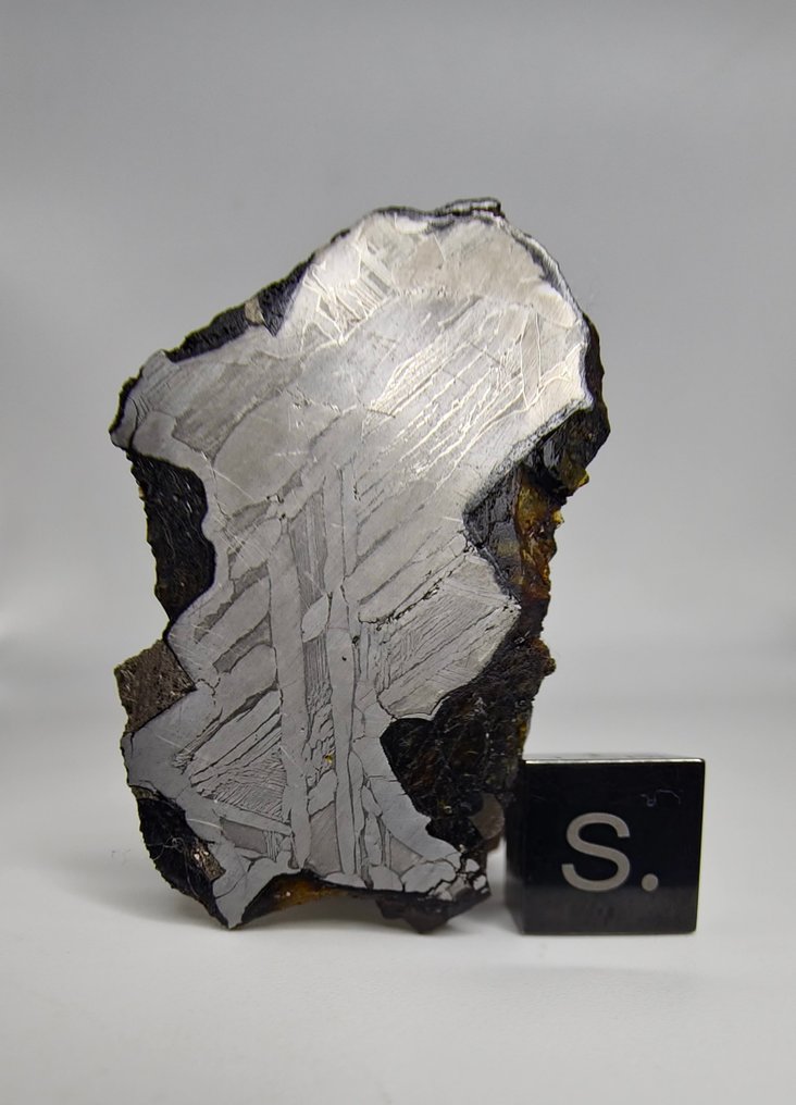 Pallasite Meteorite, NWA 16774. No reserve price. - 10.6 g #3.2