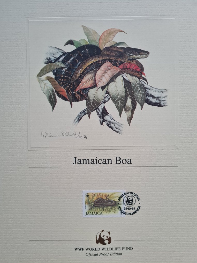 国际  - WNF - WWF 收藏特别卡片与信封 #1.0