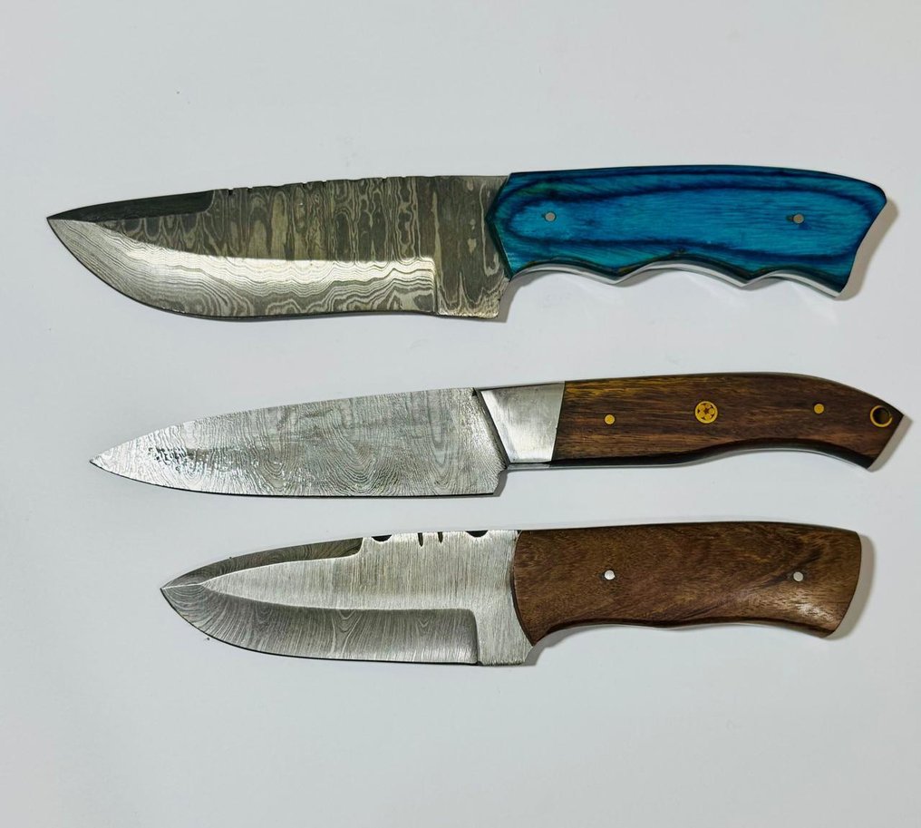 厨刀 -  厨房桌刀（0091） - 美国异国木柄和1095/15N20折叠钢 - 美国 - 厨房用刀 #1.0