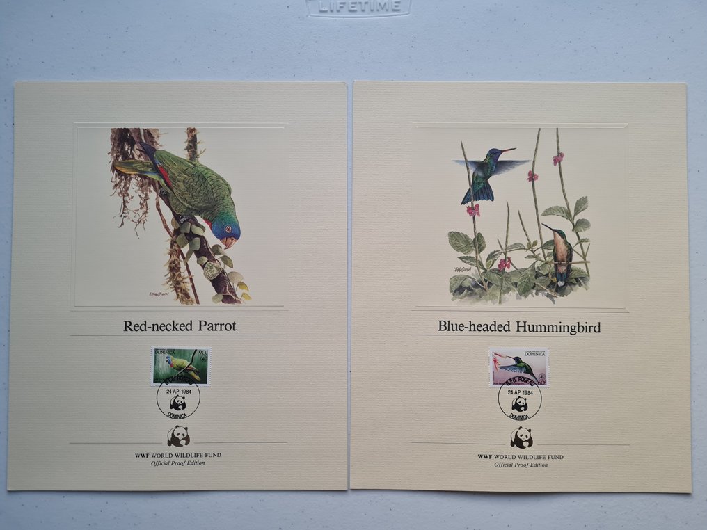 国际  - WNF - WWF 收藏特别卡片与信封 #1.0