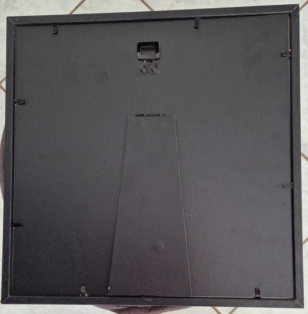 蠍子 標本全身支架 - Heterometrus spinifer - 27 cm - 27 cm - 4.5 cm - 非《瀕臨絕種野生動植物國際貿易公約》物種 - 1 #3.2