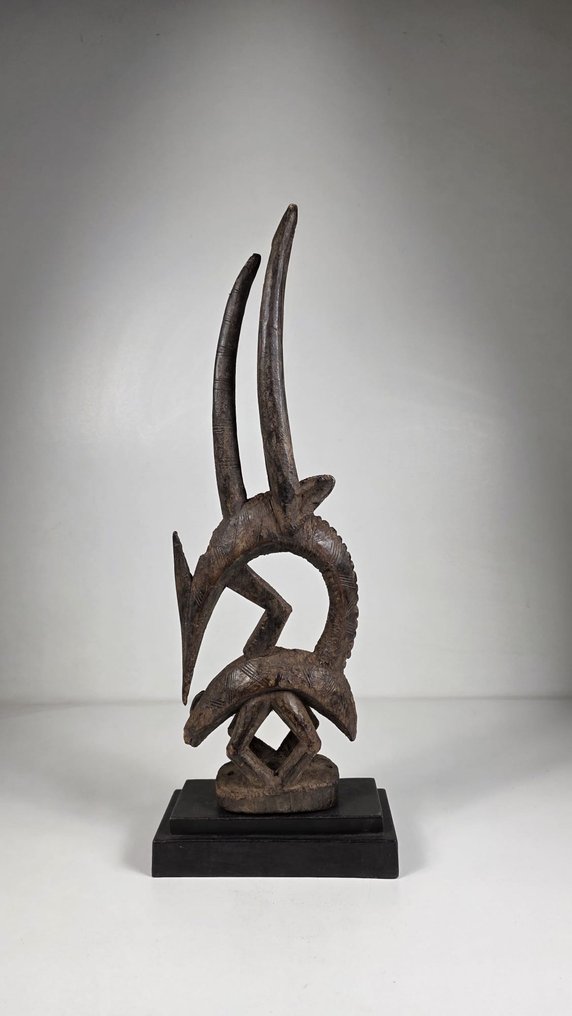 Cimier i træ - Tiwara - Mali  (Ingen mindstepris) #1.0