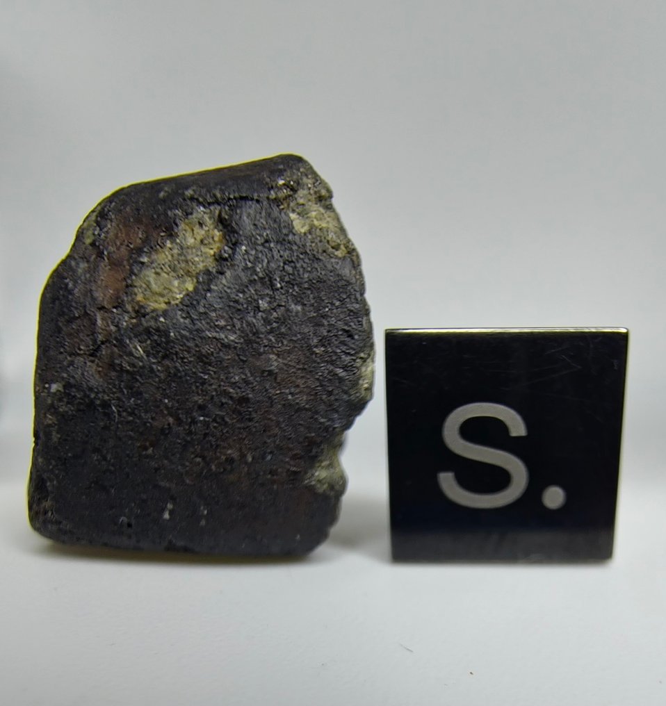 Μετεωρίτης: Ελ Μένια L5, Παρατηρούμενη πτώση 2023. Πολύ φρέσκο και χωρίς ελάχιστη τιμή. - 10 g #2.1