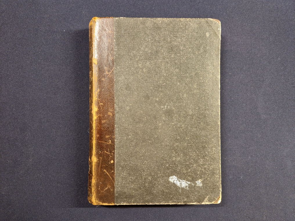 Robert Walser - Geschwister Tanner - 1907 #2.1