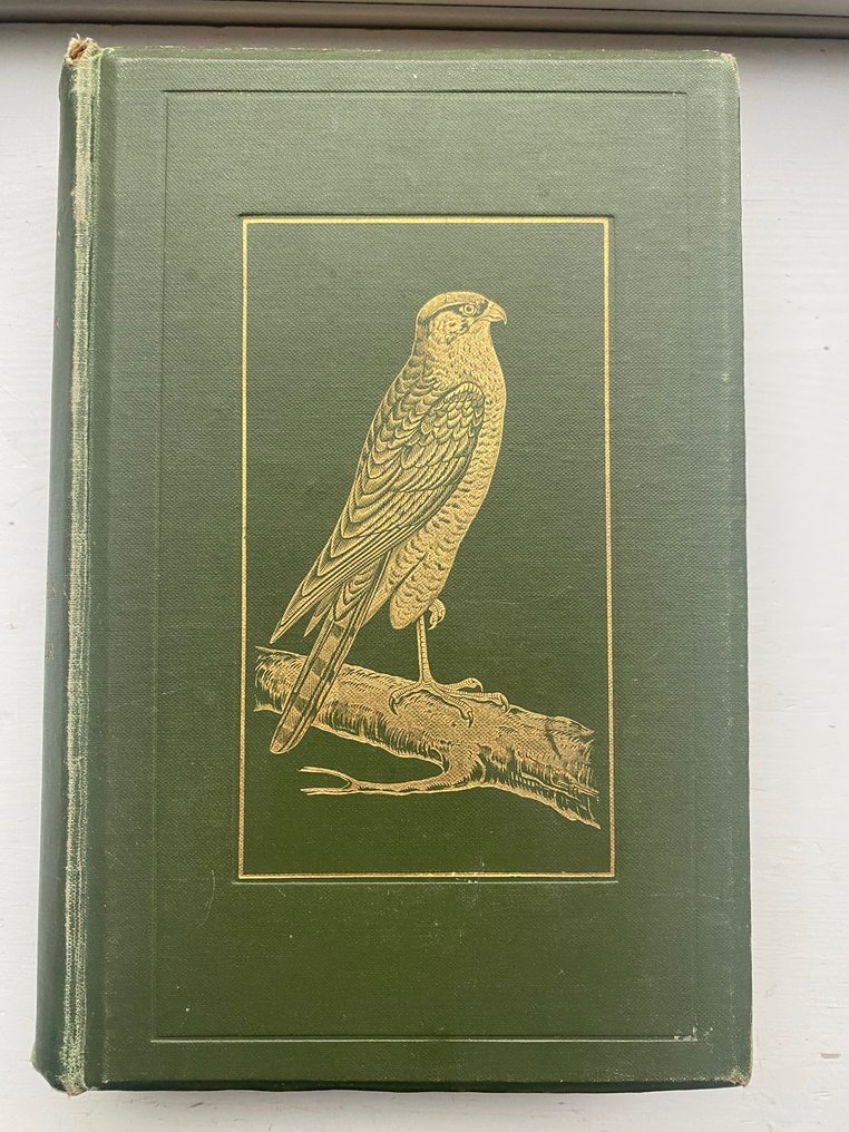 C.A Johns. - British Birds in their hunts. (64 coloured plates) - 1909 #1.0