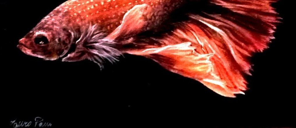 Mauro Pani (1957) - Red fish #3.2