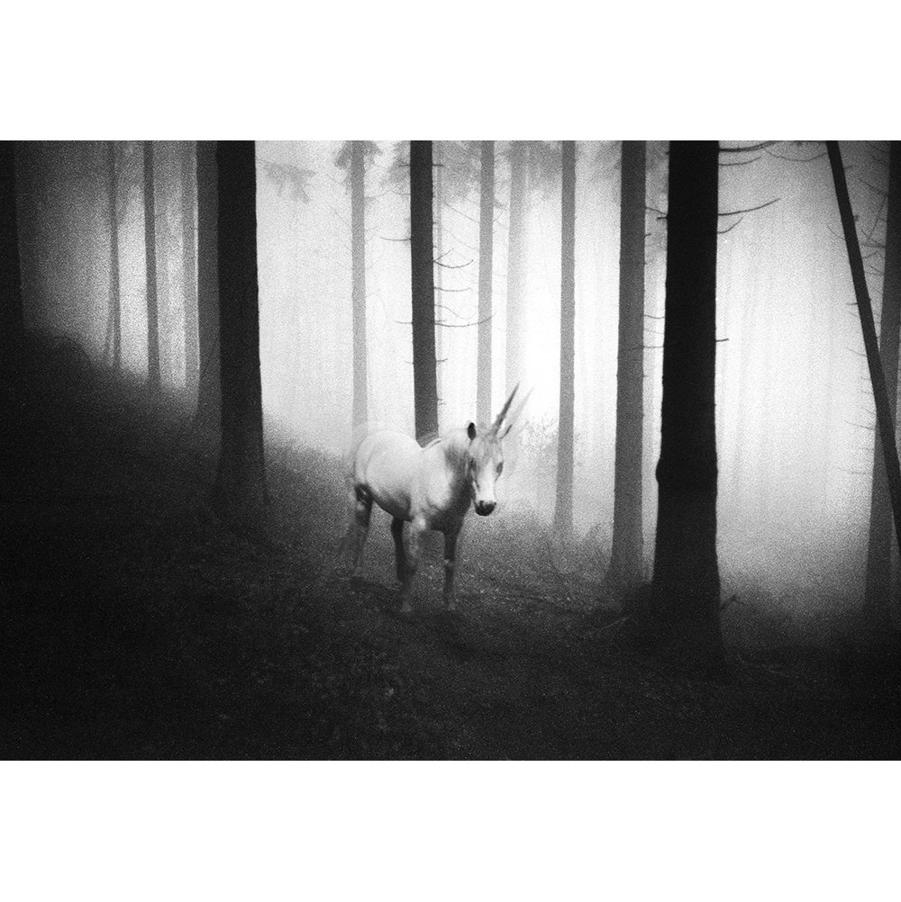 Frank Machalowski - tierwald#157 - Unicorn #1.0