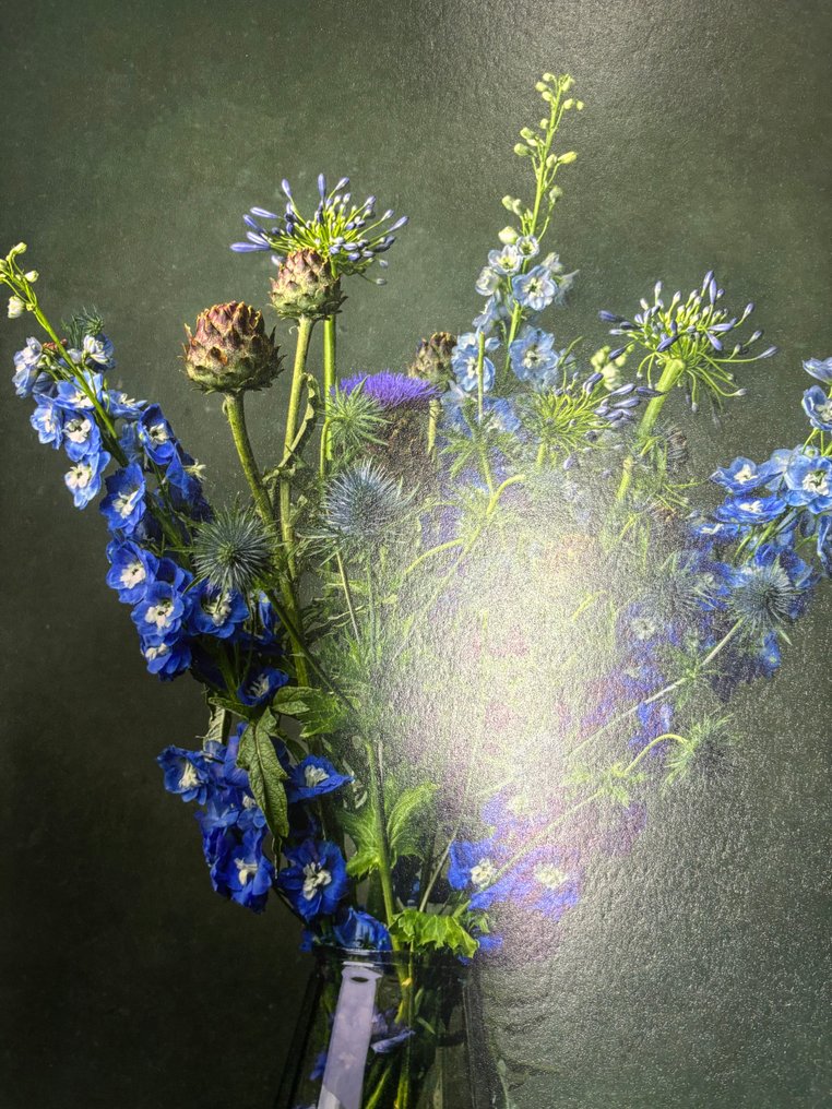 Tessa Posthuma de Boer - Flores #24 #3.2