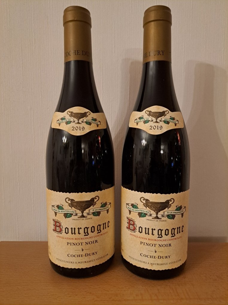 2019 Coche-Dury - Bourgogne Pinot Noir - 2 Pullot (0.7 L) #1.0