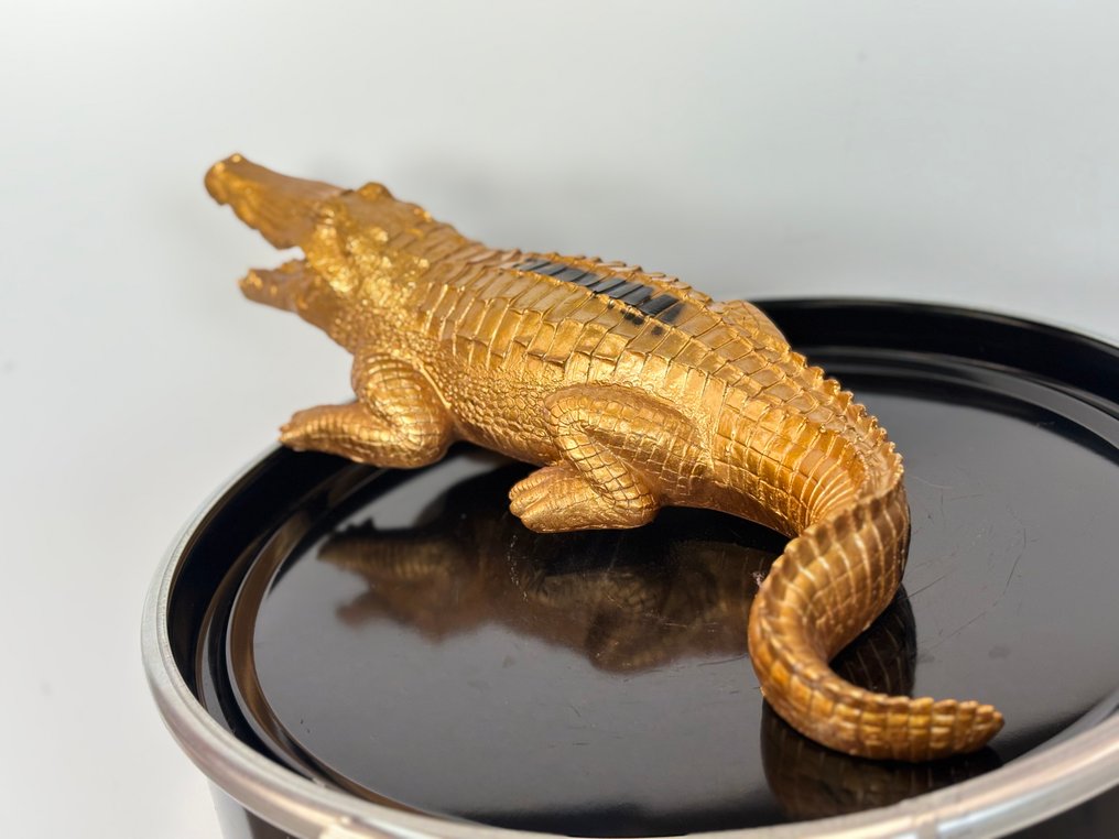 Rob VanMore - VANMORE Golden Crocodile #3.2