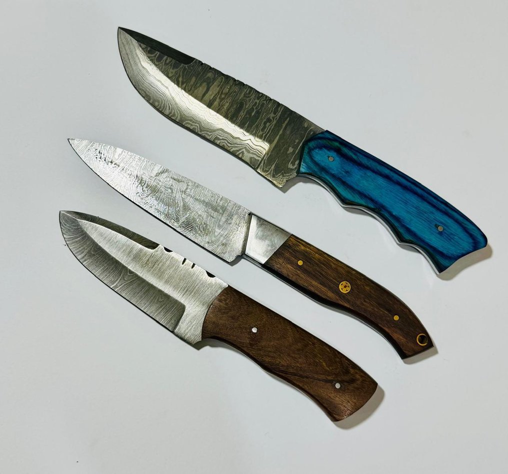 厨刀 -  厨房桌刀（0091） - 美国异国木柄和1095/15N20折叠钢 - 美国 - 厨房用刀 #1.0