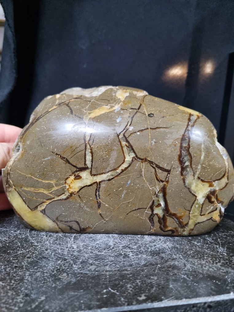 XXL Septaria, Septarienskulptur - Höhe: 125 mm - Breite: 200 mm- 3190 g #1.0