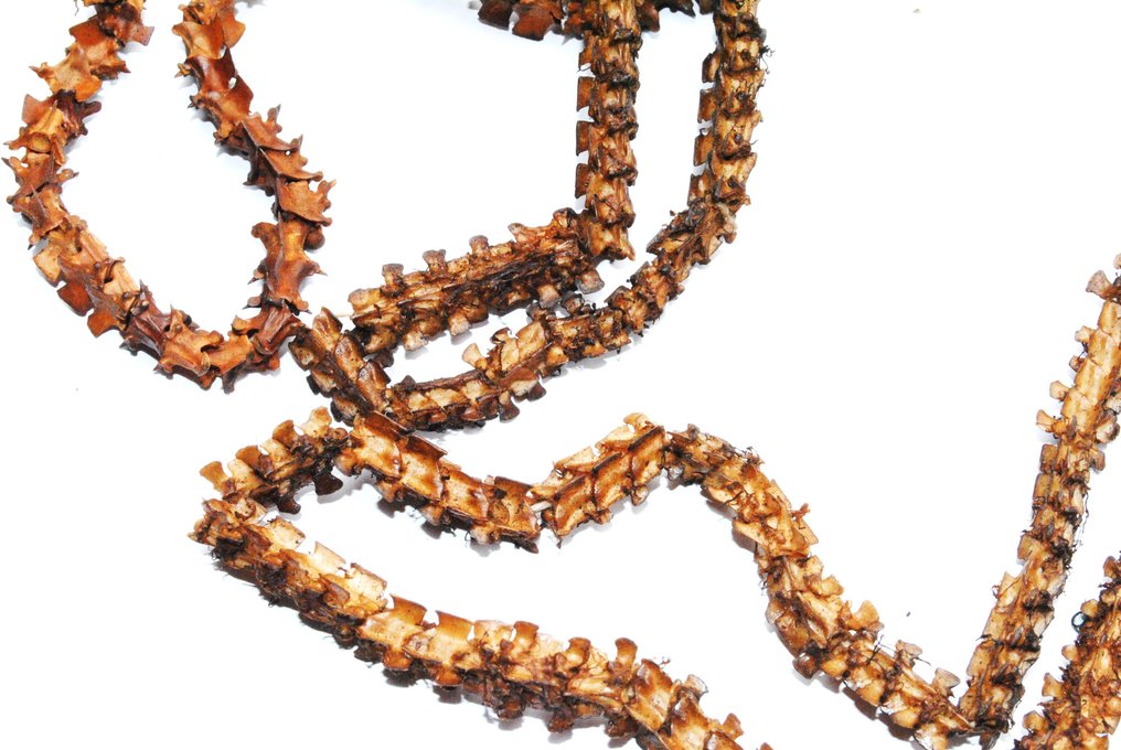 Mala Schlangenwirbel Xamã Tamang 190 cm!!! Himalaya - Nepal (Sem preço de reserva) #2.1