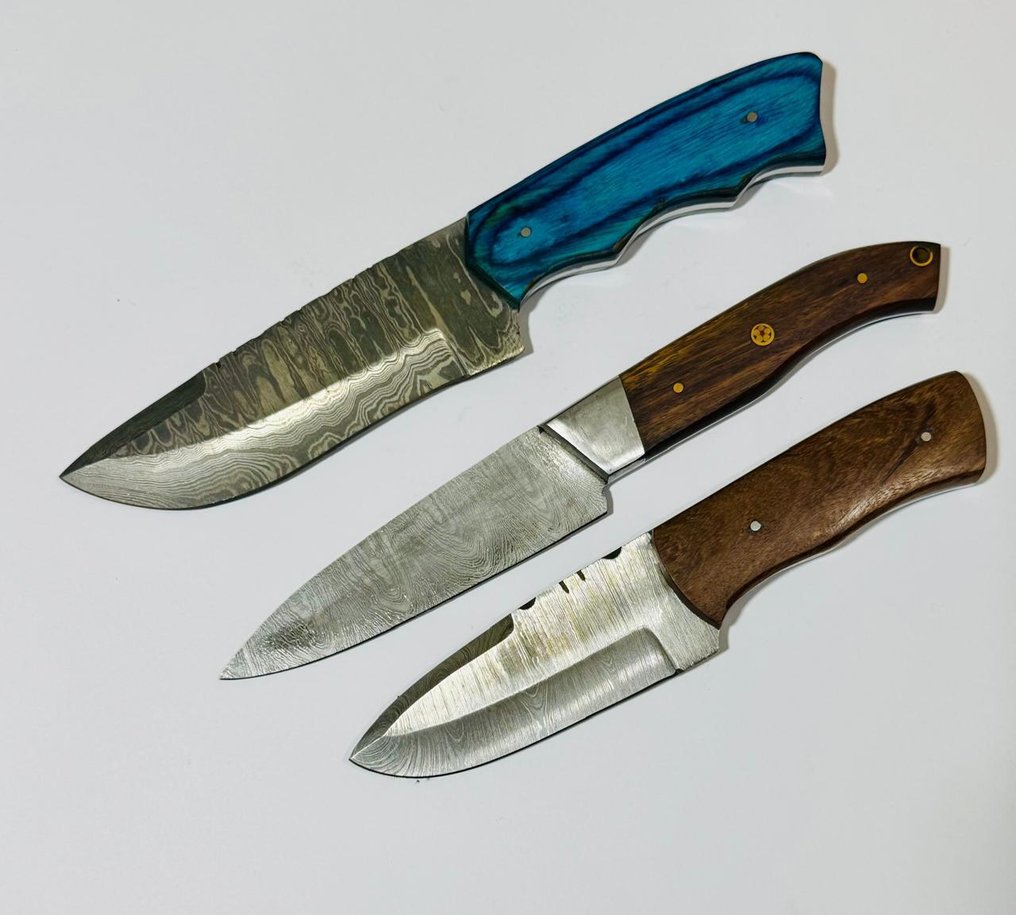 厨刀 -  厨房桌刀（0091） - 美国异国木柄和1095/15N20折叠钢 - 美国 - 厨房用刀 #2.1