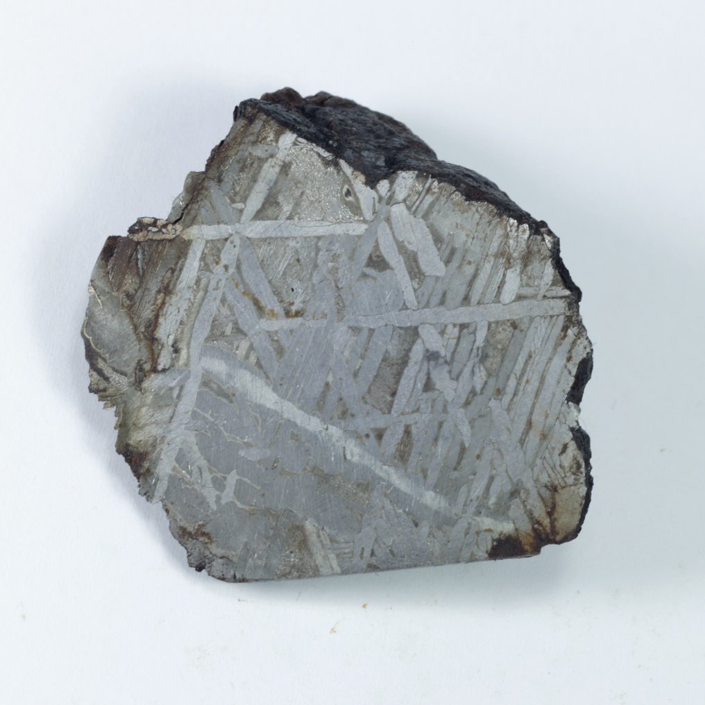 Aletai "No Reserve Price" Iron meteorite - 47.3 g #1.0