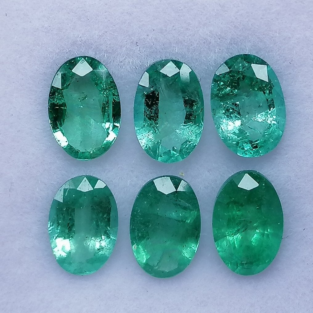 6 pcs  绿色 祖母绿  - 2.52 ct - 西班牙宝石学院（IGE） - 油品次级 #1.0
