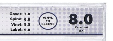 Temple Of The Dog - Pushin Forward Back - Disco in vinile - Promozionale - 1991 #4.3