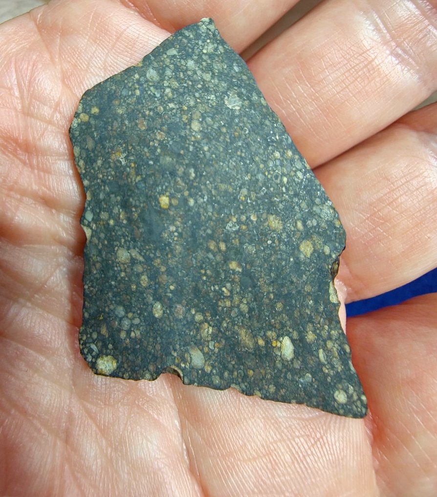 陨石。LL3 类型。 NWA 17583，普通球粒陨石。 - 12.08 g #4.3