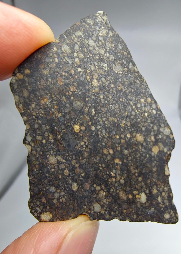 陨石。LL3 类型。 NWA 17583，普通球粒陨石。 - 12.08 g #1.0