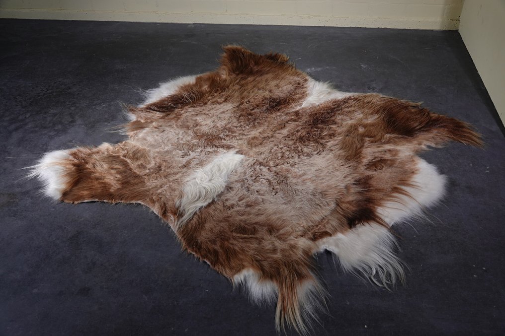 Pelle di yak Teschio - Bos grunniens - 150 cm - 1 cm - 150 cm- Specie non CITES #2.1