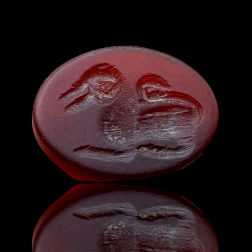 Roma antica Corniola Intaglio Cabochon  (Senza prezzo di riserva) #1.0