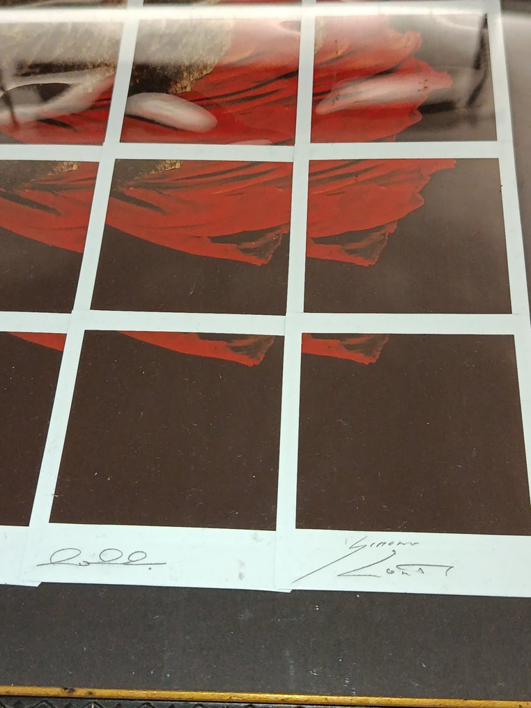 simone Conti - Papavero #2.1