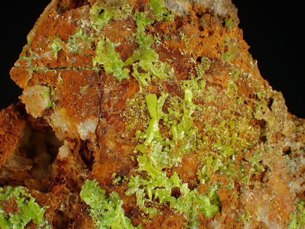 Big Pyromorphite Κρύσταλλοι στη μήτρα - Ύψος: 105 mm - Πλάτος: 80 mm- 229 g #1.0