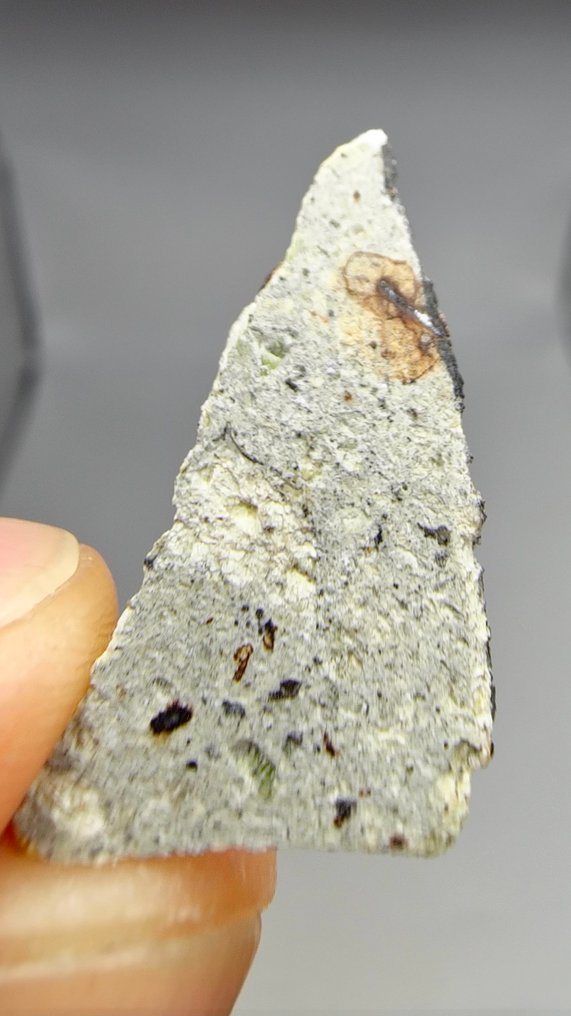 Dunite. Ain Ben Tili 004. Ungrouped Achondrite - 1.66 g - (1) #1.0