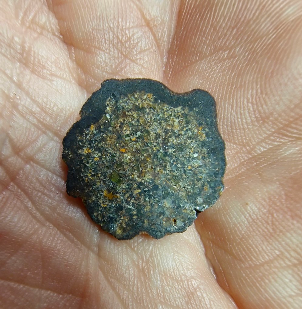 Λοδρανίτης μετεωρίτης. NWA 17905. Πρωτόγονος αχονδρίτης, - 1.76 g #4.3