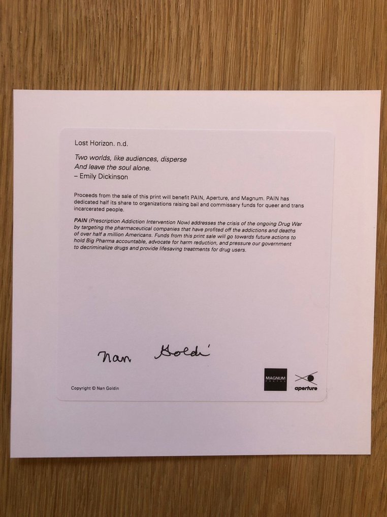 Nan Goldin - Lost horizon #4.3