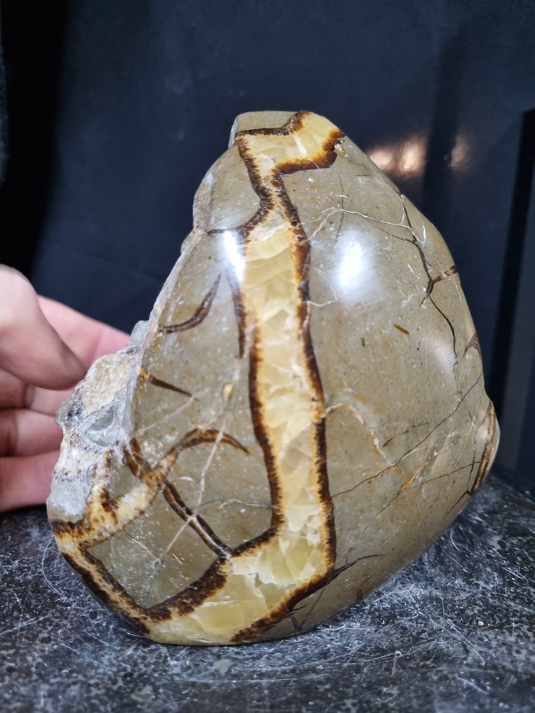 XXL Septaria，Septarie雕塑 - 高度: 135 mm - 闊度: 125 mm- 1880 g #1.0