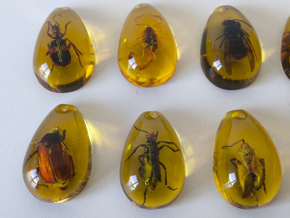 Temasamling - 10 Insekt i ravharpiks #1.0