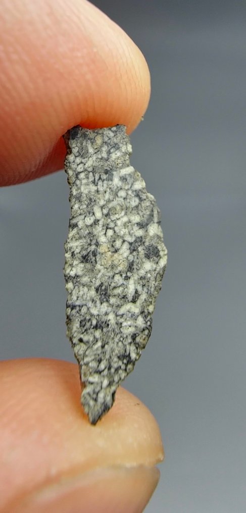 火星陨石（舍尔戈石，橄榄石含量丰富） NEA 053. - 0.35 g - (1) #1.0