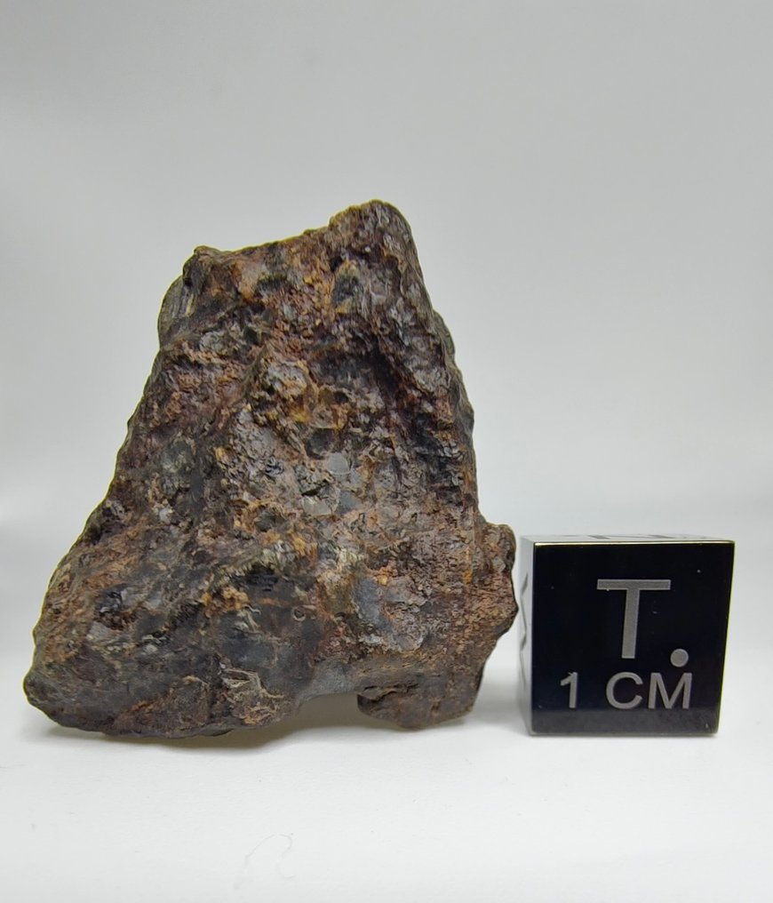 Lodranite Meteorite. NWA 17904. The meteorite is an annealed breccia. - 12.88 g #2.1