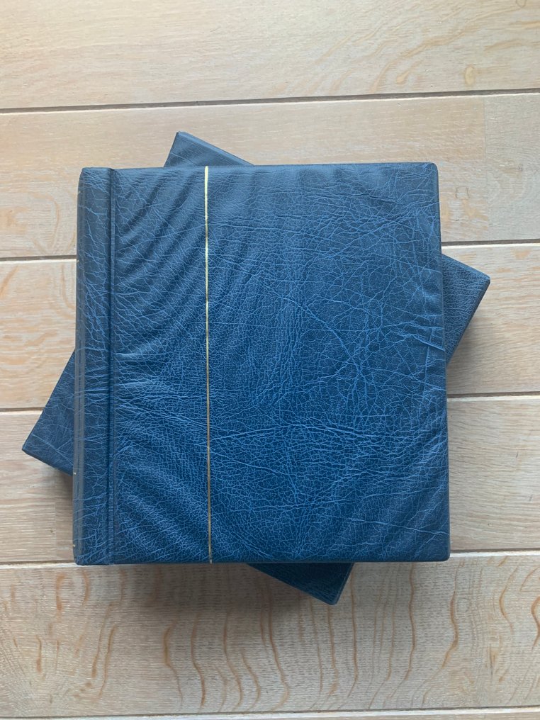 荷蘭和海外 1870/1975 - 荷兰东印度、纽几内亚和苏里南的Leuchtturm相册配磁带 #2.1