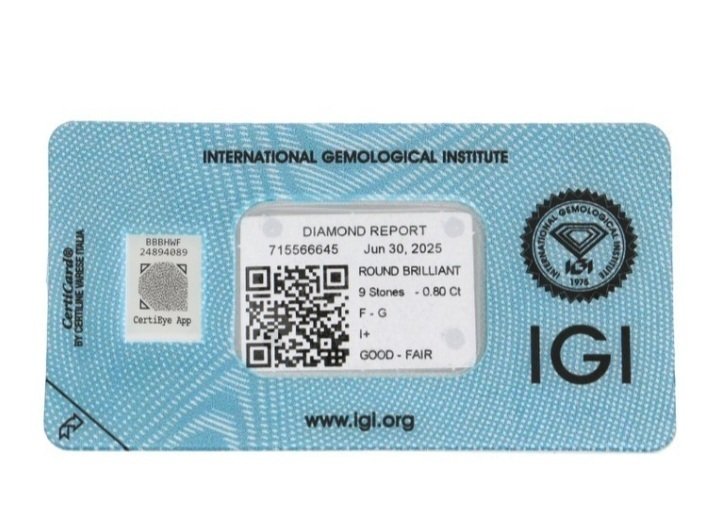 9 pcs 钻石  (天然)  - 0.80 ct - 圆形 - F, G - I1 内含一级 - 国际宝石研究院（IGI） #1.0