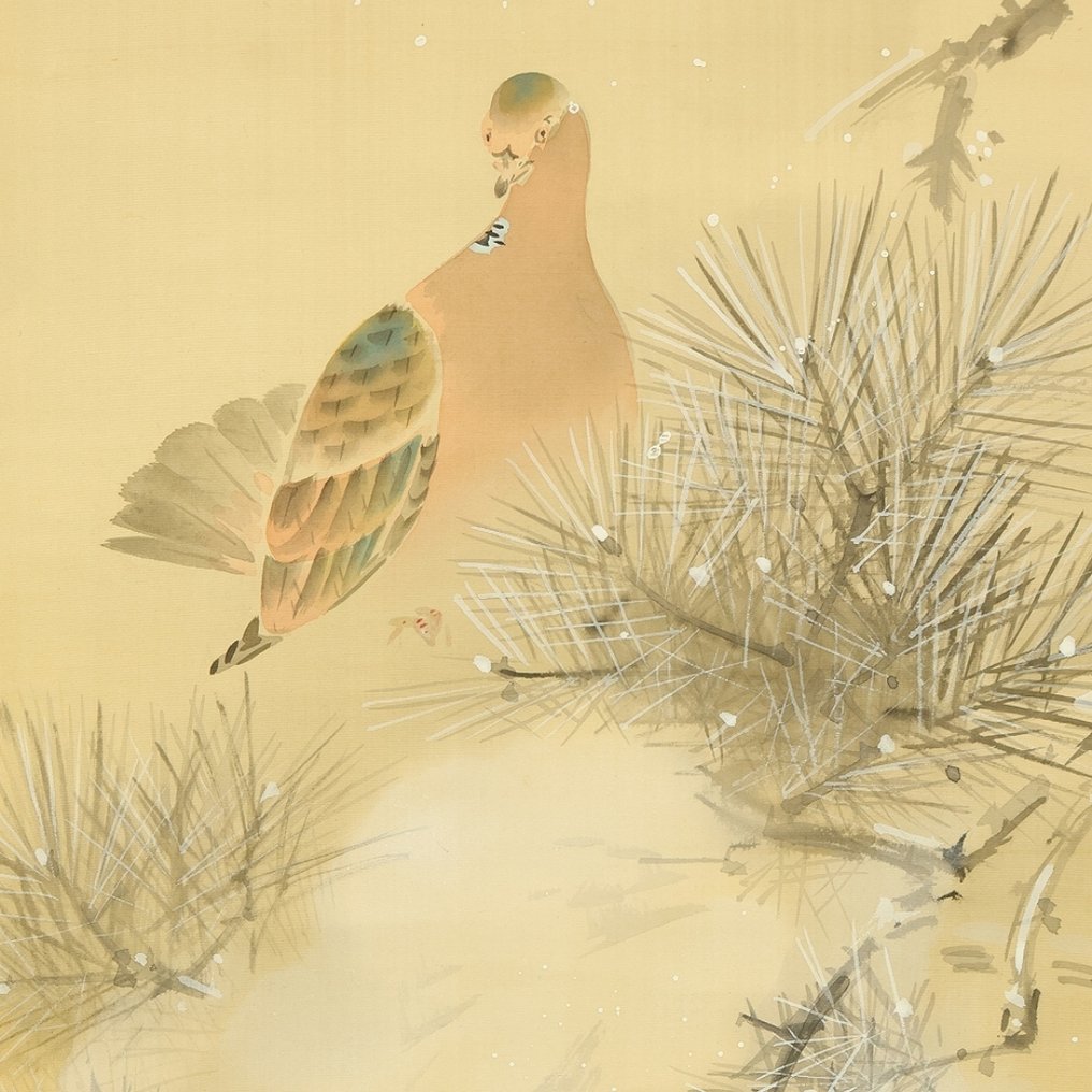 Pigeon Perched on Pine Tree in Snow with Original Box (Tomobako) - Shibahara Kisho 柴原希祥 (1885-1954) - Japan  (No reserve price) #1.0