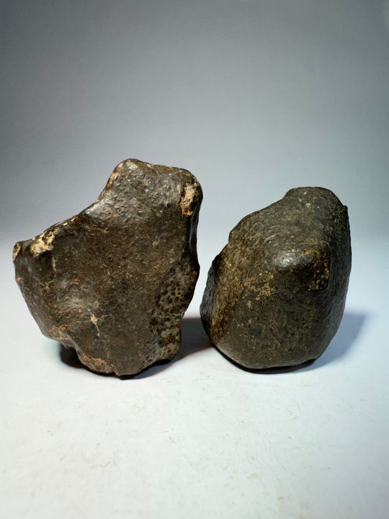 Σετ NWA xxx μη ταξινομημένο με όμορφο σχήμα. Μετεωρίτης χονδρίτης - 137 g - (2) #1.0