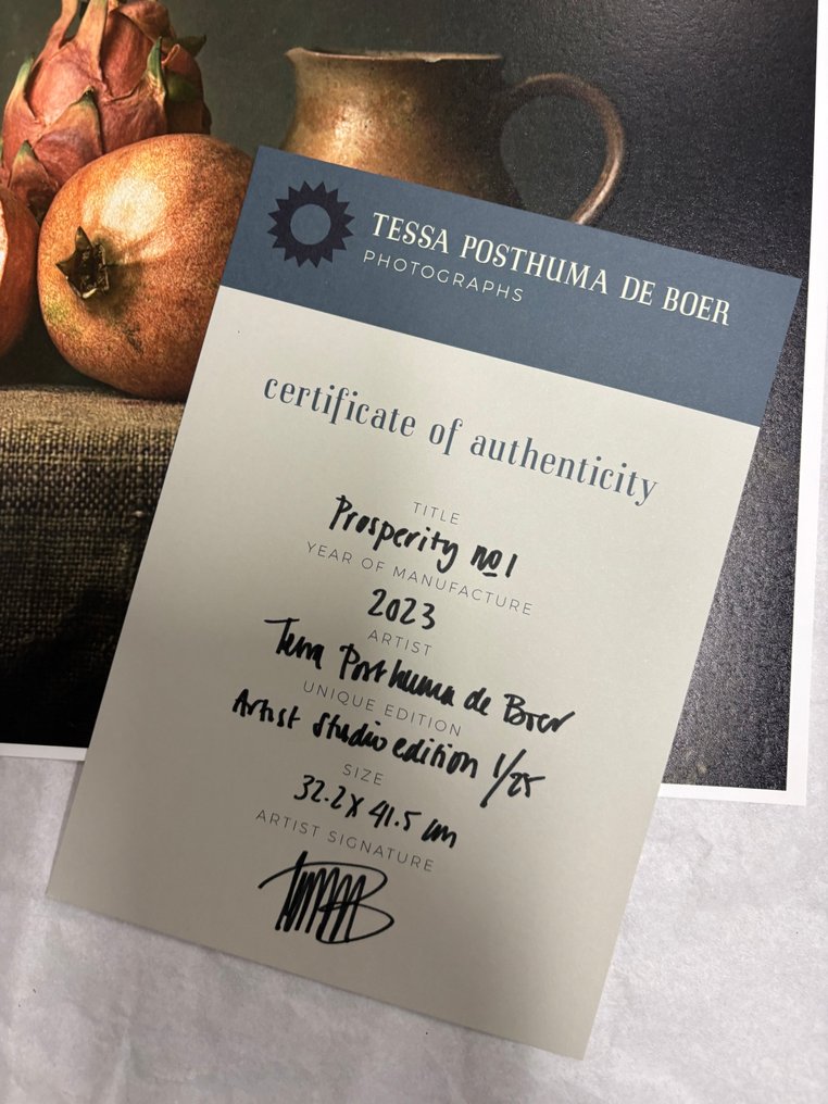 Tessa Posthuma de Boer - Prosperity no.1 #1.0