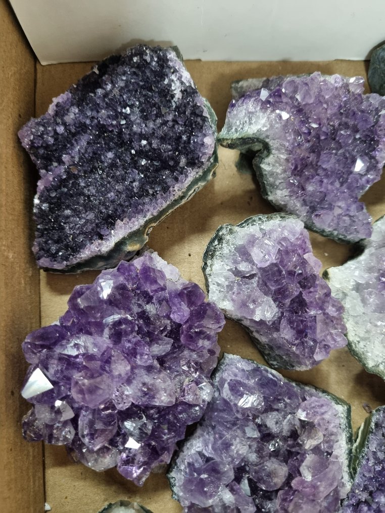 Big Lot HQ 乌拉圭紫水晶簇 9.5 - 5.5 厘米 水晶群- 1.19 kg #1.0
