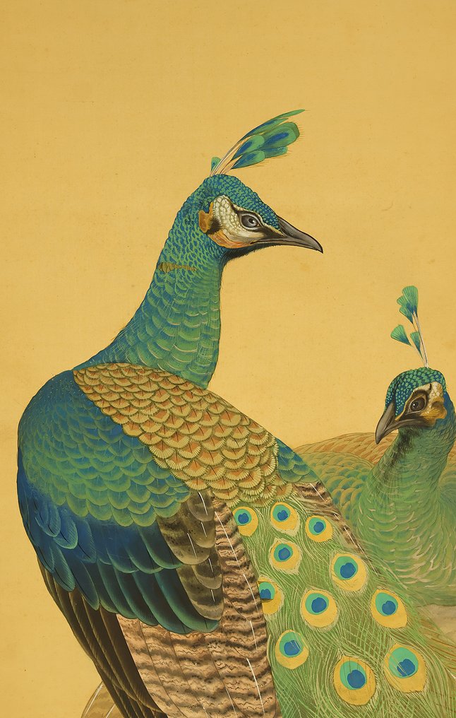 Two Peafowls Perched upon Rocks and Rose with Box - Ono Tosei 小野踏青 (b1902) - 日本  (沒有保留價) #3.2