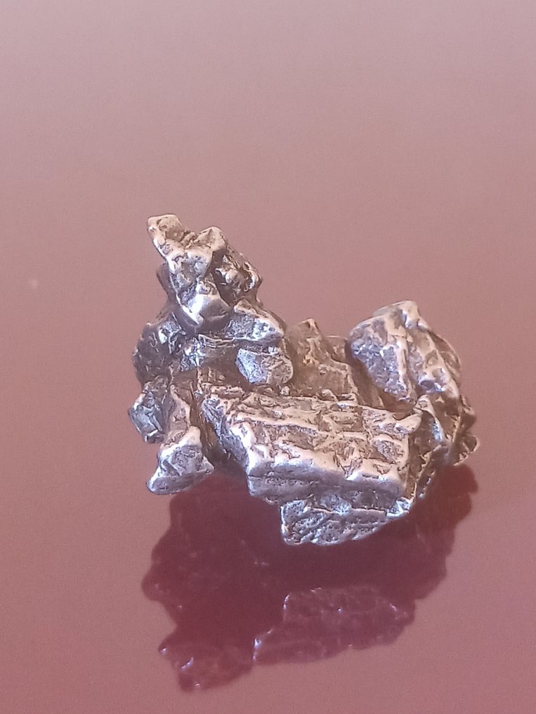 Μετεωρίτης Campo del Cielo. Ειδικό Αντίτυπο. Χωρίς τιμή ελάχιστης προσφοράς!!! - 22.65 g #1.0