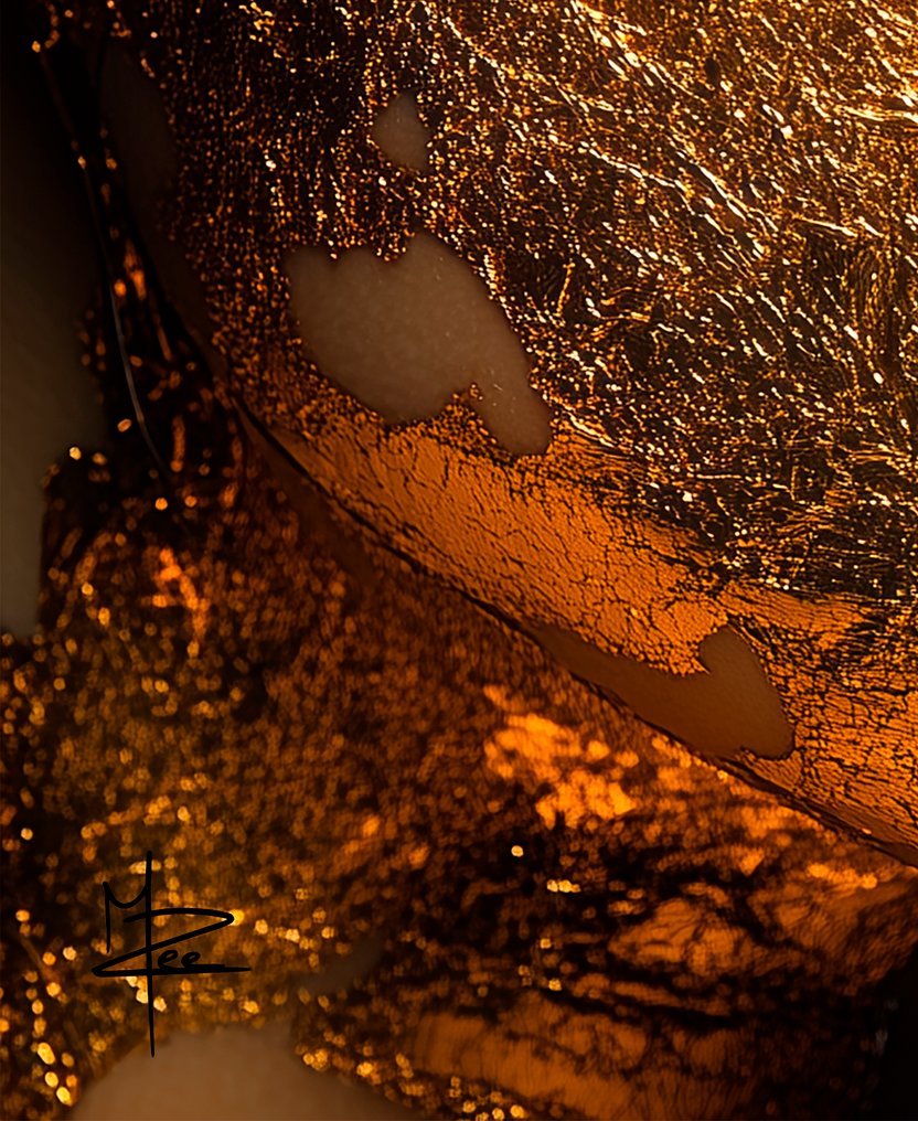 PLM-Art - Golden Eyes Woman XL #4.3