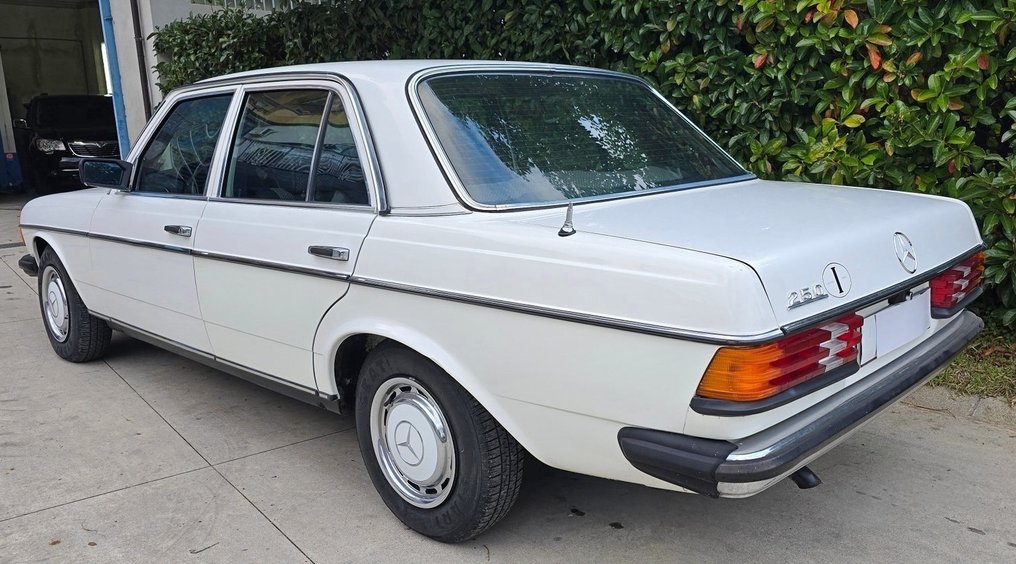 Mercedes-Benz - 250 W123 - 1977 #4.3