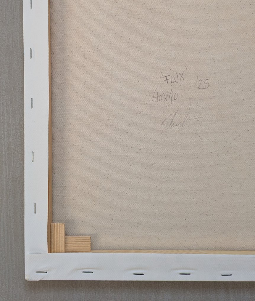 Shaula Toma - Flux&Collisions #2.1