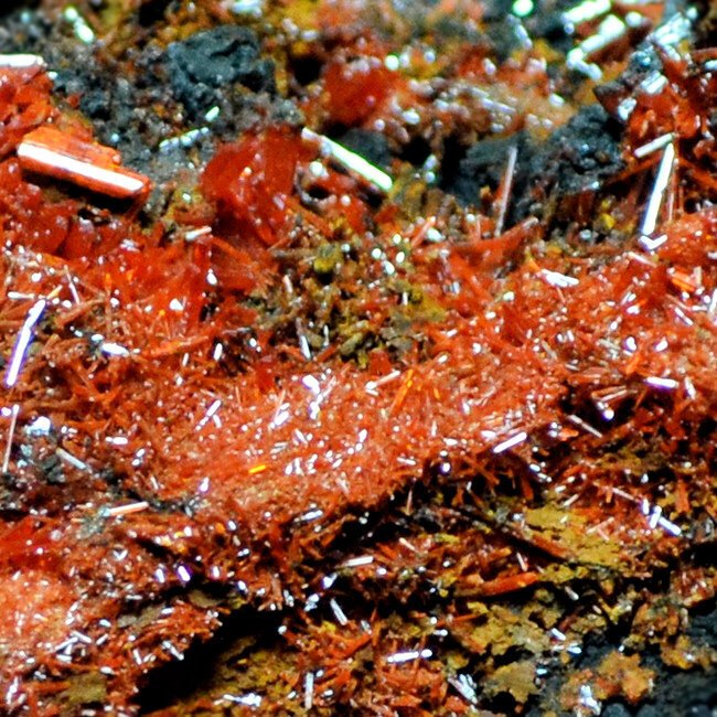 铬铅矿 水晶矩晶体 - 高度: 4 cm - 宽度: 8 cm- 135 g #1.0