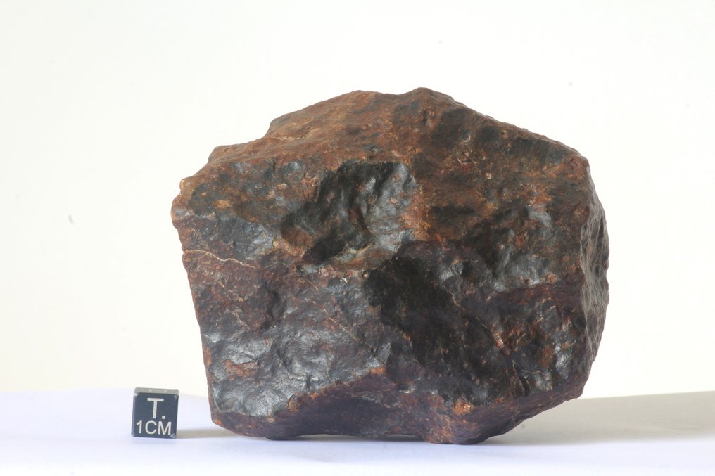 Ωραία ακατάτακτη συνηθισμένη χονδρίτη με regmalyt. Μετεωρίτης χονδρίτης - 736 g - (1) #4.3