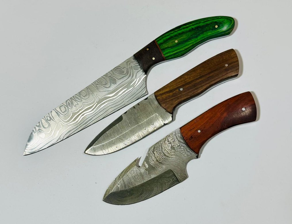 Μαχαίρι κουζίνας - Kitchen knife set -  Μαχαίρι τραπεζαρίας (0112) - Χερούλι από εξωτικά αμερικανικά ξύλα και διπλωμένο ατσάλι. - Ηνωμένες Πολιτείες - Μαχαίρι τραπεζιού κουζίνας #4.3