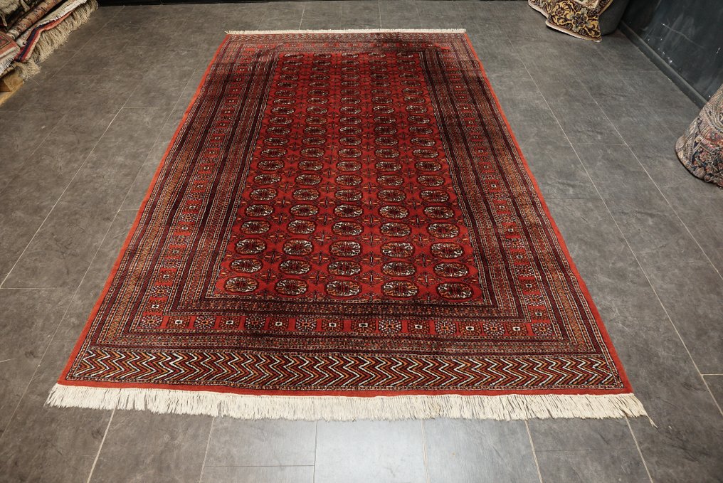 Buchara art deco - Teppich - 275 cm - 192 cm #2.1